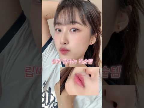 무신사 오드 타입 립 타투 벌룬 틴트 지속력 립틴트 BEST 조합 바로 담았어요