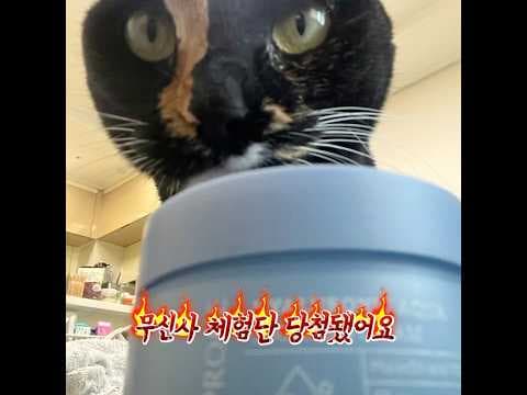 무신사 꿀템! 디오프러스 히알루로닉 크림으로 아토피 피부 고민 해결
